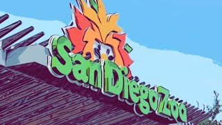 San Diego Zoo [upl. by Jollenta]