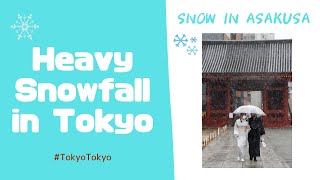 ❄️❄️❄️ TOKYO sees HEAVY SNOWFALL 🌨 for first time in 4 years  tokyotokyo [upl. by Adnama]