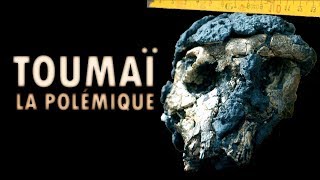 Toumaï fossile et polémiques  Mini documentaire [upl. by Bobbie835]