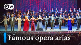 Opera gala great arias from Puccini Verdi Donizetti Bellini Bizet Lehár Mozart and others [upl. by Aidnama]