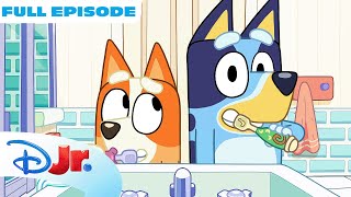 Bluey Full Episode  The Weekend  Full Episode  disneyjr x BlueyOfficialChannel [upl. by Aicul961]