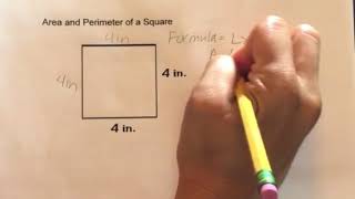 How to find the Area and Perimeter of a Square [upl. by Matthiew]