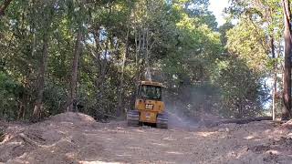 D4 Cat Dozer work pushing down trees [upl. by Ykciv446]