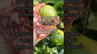 Kanavellam Neethane Song [upl. by Fia696]