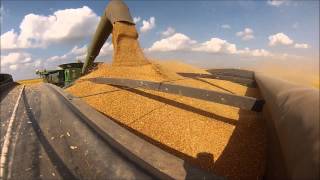 Running Grain Cart in South Dakota [upl. by Fadil]