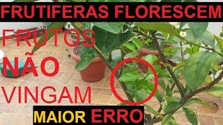 Frutifera floresce mais frutos não vingam saiba como resolver  Frutiferas em vaso [upl. by Heida]