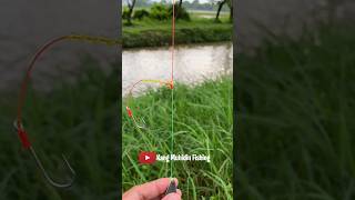 RIG FISHING DIY The secret of fisherman Fishing Knot skills fishing fishingknot diy tutorial [upl. by Eidde7]