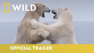 Kingdom of the Polar Bears  Official Trailer  National Geographic Wild UK [upl. by Hales]