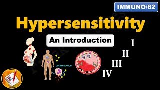 Hypersensitivity  I II III IV An Introduction FLImmuno82 [upl. by Kirch854]