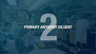 Better IHC Step 2 Antibody Dilution [upl. by Amadis]