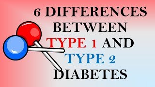 6 Differences Between Type 1 and Type 2 Diabetes [upl. by Maddock890]