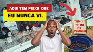 COMO ESCOLHER UM PEIXE DE BOA QUALIDADE [upl. by Ordisi]