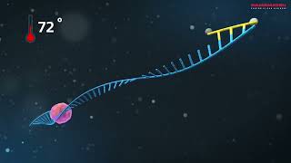 Supporting the global response to the COVID19 pandemic with photonics instrumentation [upl. by Siednarb]