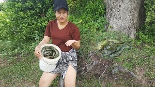 WOW Beautiful Girl Fishing  Cambodia Traditional Fishing  How To Catch Fish By Hand Part 4 [upl. by Perle556]