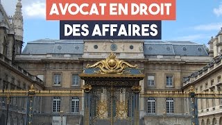 Avocats  la spécialité droit des affaires [upl. by Naivaf]