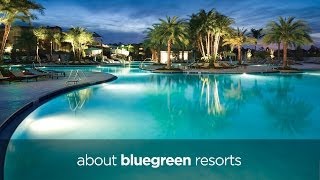 About Bluegreen Resorts [upl. by Inalaek]