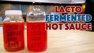 🌱 LACTO Fermented HOT Pepper  Hot Pepper Sauce Recipe [upl. by Roede]