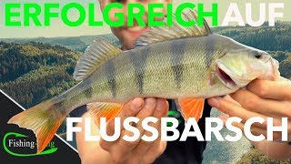 5 TIPPS fürs BARSCHANGELN vom Ufer  FishingKingde [upl. by Adnerb29]