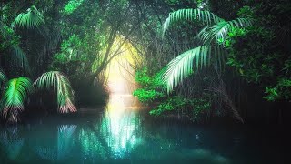 6 Hours of Relaxing Sleep Music Soothing Harp Music Fall Asleep Fast Sleeping Music ★80 [upl. by Adi]