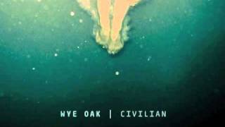 Wye Oak  We Were Wealth [upl. by Keever]