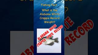 Unbelievable Alabama White Crappie State Record [upl. by Raseta]