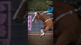 That headstall is fab😍 horse [upl. by Hancock]