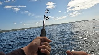 Tathra Wharf fishing amp trolling for Kingys [upl. by Mendes570]