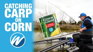 Catching Carp On Sweet Corn  Jamie Hughes  Heronbrook Fisheries [upl. by Codi]