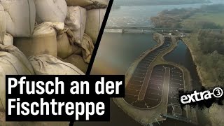 Realer Irrsinn Pfusch an der Fischtreppe in Geesthacht  extra 3  NDR [upl. by Buchalter731]