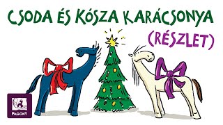 Czigány Zoltán Csoda Kósza karácsonya részlet [upl. by Aynav]