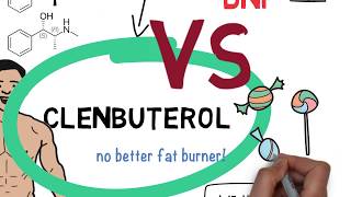 Clenbuterol Clen  A Foolproof Illustrated Guide in 2019 Video [upl. by Jonathan60]