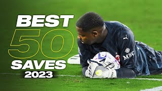 Best 50 Goalkeeper Saves 2023  HD [upl. by Eilsew]