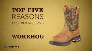 Top 5  Ariat® Workhog Boot [upl. by Merna]