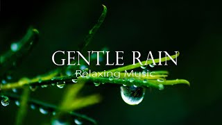 ASMR  3 Hours Soothing Rain Sounds amp Best Rain Sounds to Soothe Your Heart [upl. by Asenev]