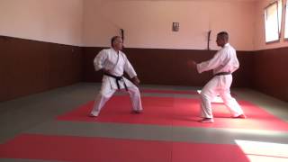 JIYU IPPON KUMITE  Préparation passage de grade 1 er dan [upl. by Katerina699]