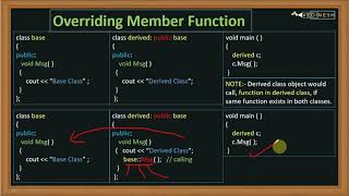 Function Overriding In C  C Tutorial for Beginners [upl. by Supmart]