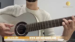 Acordes de Pharaon Gipsy Kings Guitarra Modelo PM Blanco Perlado [upl. by Enyawad]