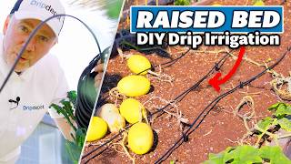 How to Install Drip Irrigation for Raised Beds Complete DIY System Guide [upl. by Amalee]