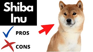 SHIBA INU Pros And Cons SHOCKING [upl. by Warfeld]