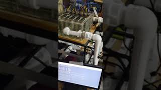 GPU mining rig with immersion cooling [upl. by Aluin]