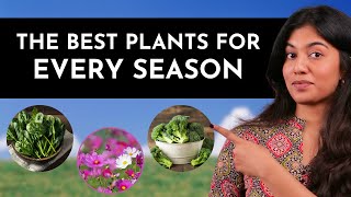 What to Plant and When  Gardening Tips [upl. by Nuyh434]