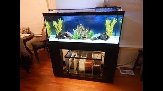 29 gal freshwater sump part 6 THE FINAL BUILD [upl. by Siraval]