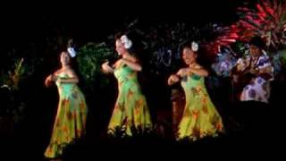 Danse hawaiienne 3 [upl. by Kipp]