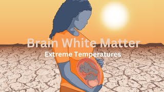 How Early Life Exposure to Heat and Cold Affects Brain Development [upl. by Elfie]