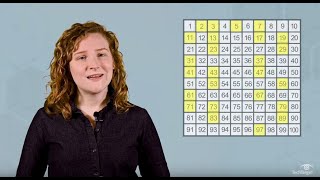 What is a Prime Number What Are Prime Numbers Used For [upl. by Hurlee]