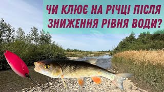 VLOG 14 ловля на річці в Карпатах коли рівень води знижується [upl. by Ailisec]