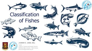 Classification of Fishes [upl. by Aerdnu620]