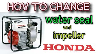 Honda WB30XD new Petrol Water Pump [upl. by Em]