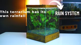 i made a terrarium rain garden in a glass tank  rainfall paludarium [upl. by Neenahs319]