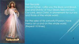 Divine Mercy Novena – Day One [upl. by Libre]